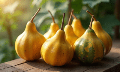 Melons hornes récoltés sur une table en bois rustique